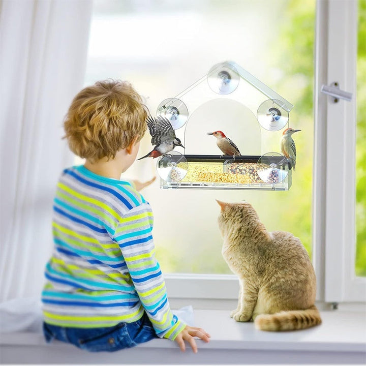 Enhance Your Garden with the Acrylic Bird Cage Hummingbird Feeder