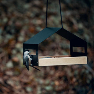 Elevate Your Outdoor Space with Our Stunning Garden Decoration
