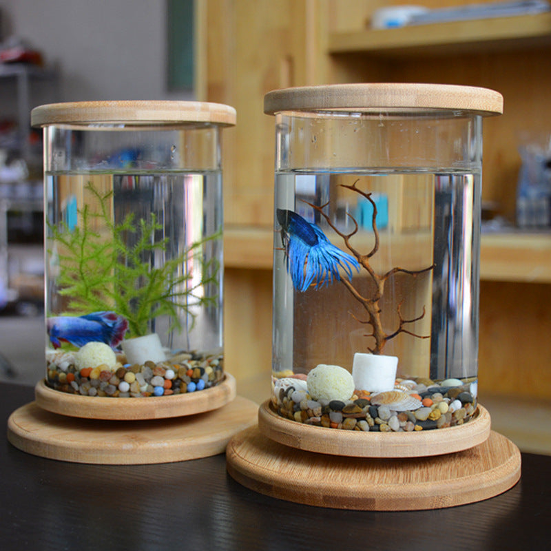 Transform Your Workspace with the Small Office Glass Aquarium Bamboo Base