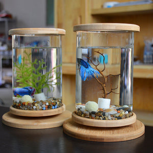 Transform Your Workspace with the Small Office Glass Aquarium Bamboo Base