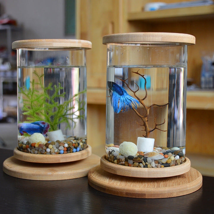 Transform Your Workspace with the Small Office Glass Aquarium Bamboo Base