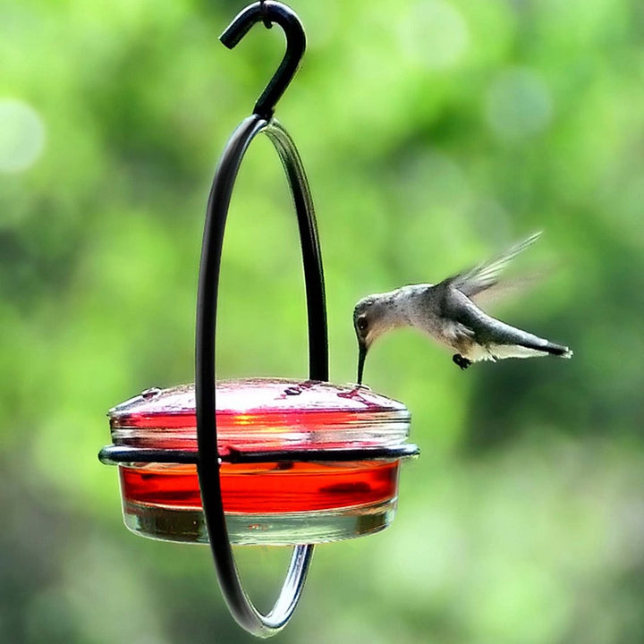 Bring Nature Closer: The Metal Hanging Round Hummingbird Feeder