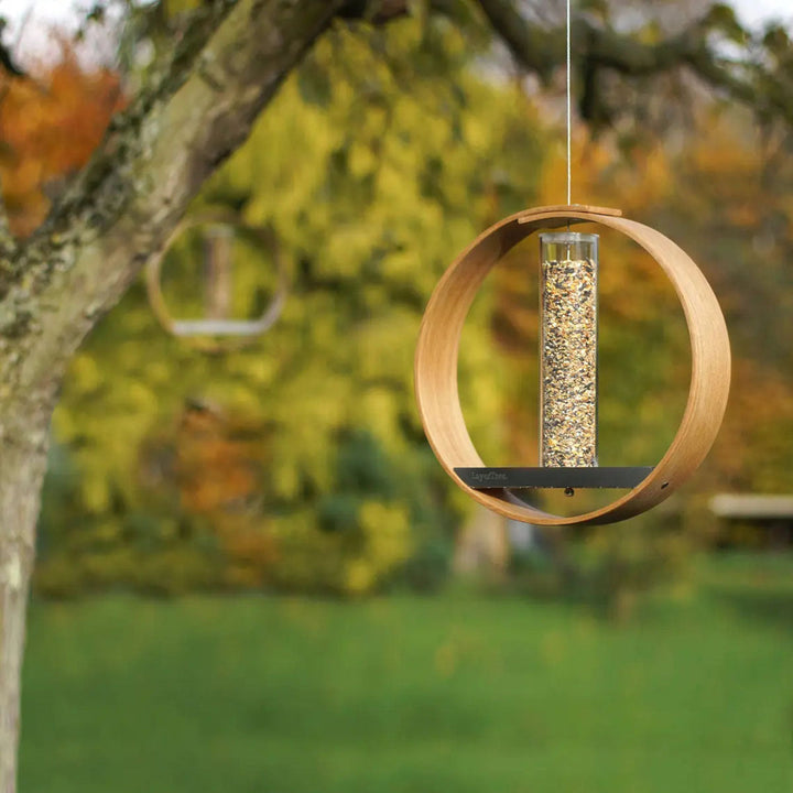 Enhance Your Backyard with Our Simple Hanging Bird Feeder