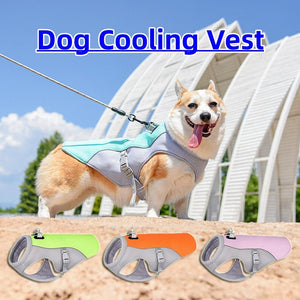 Keep Your Furry Friends Cool This Summer with Our Cooling Vest