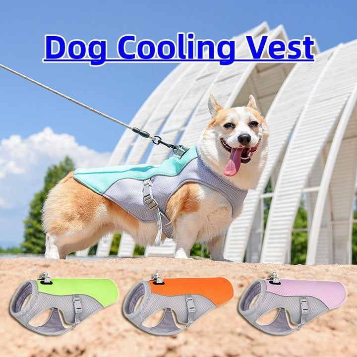 Keep Your Furry Friends Cool This Summer with Our Cooling Vest