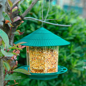 Outdoor Garden Hanging Transparent Bird Feeder: A Must-Have for Bird Lovers