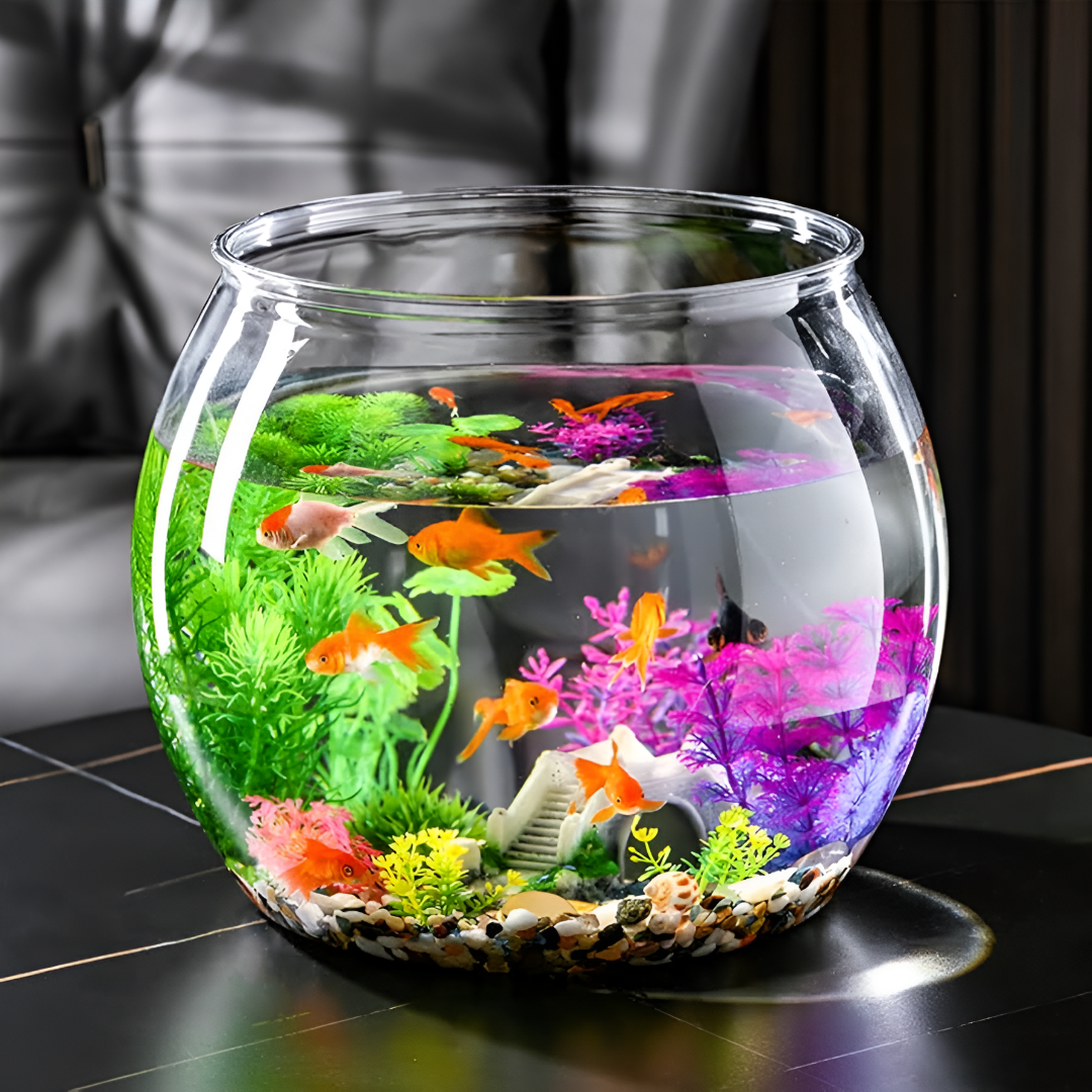 How to Create a Happy Habitat for Your Fish