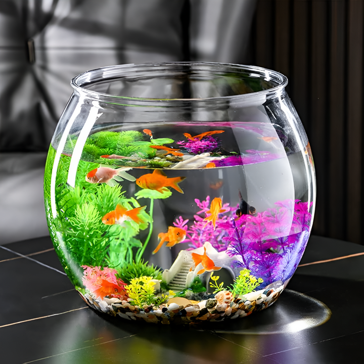How to Create a Happy Habitat for Your Fish
