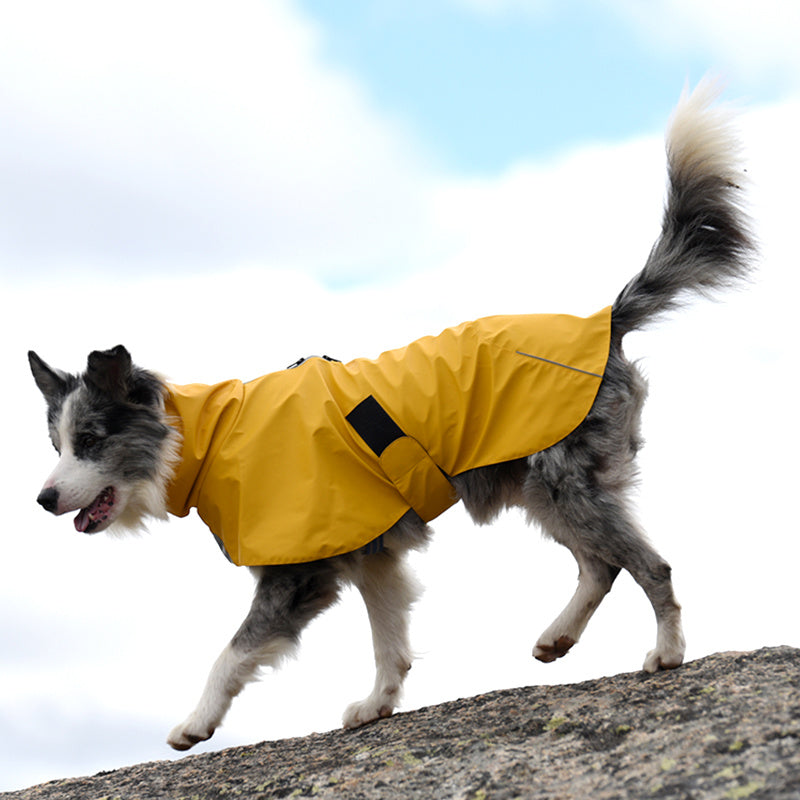 Why Your Dog Needs the Pet Shell Jacket: A Must-Have for Rainy Days