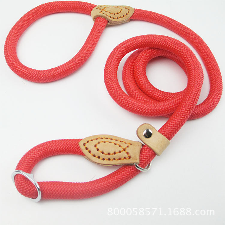 Nylon P Chain Hand Holding Rope Out Dog