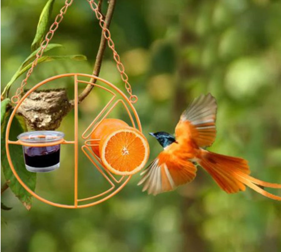 Hanging Metal Bracket For Outdoor Feeding