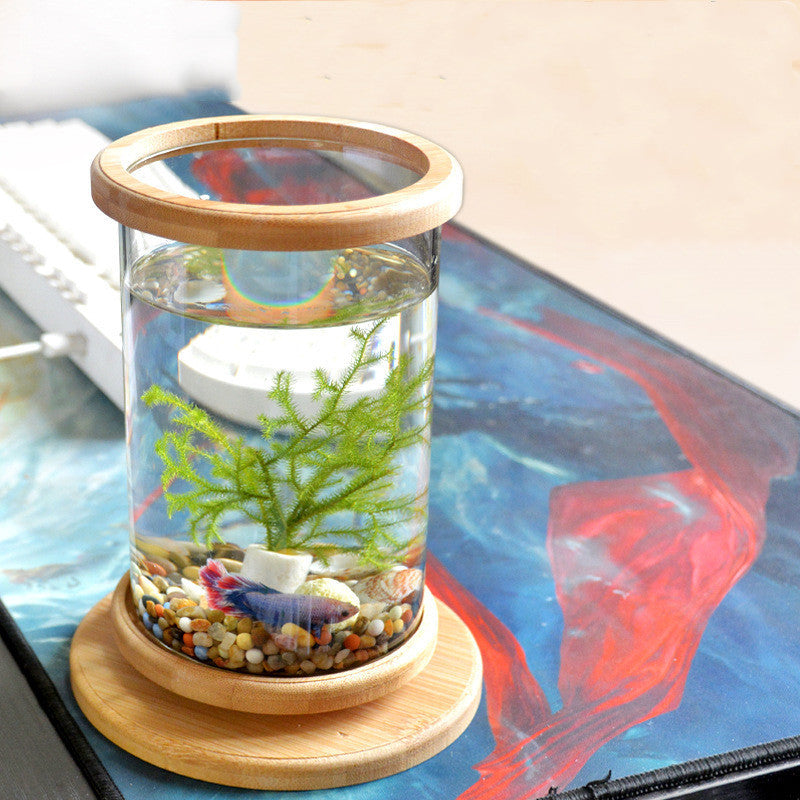 Small Office Glass Aquarium Bamboo Base