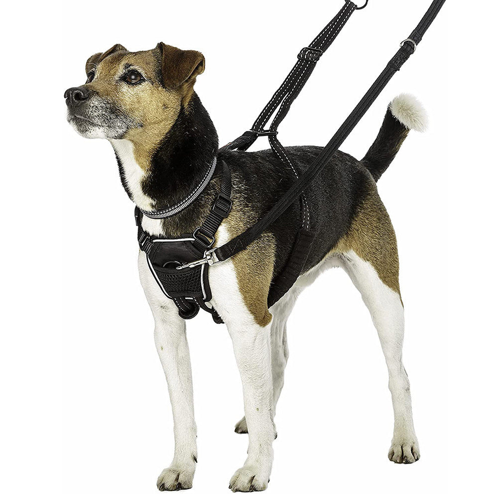 Nylon Dog Breathable Reflective Anti-riot