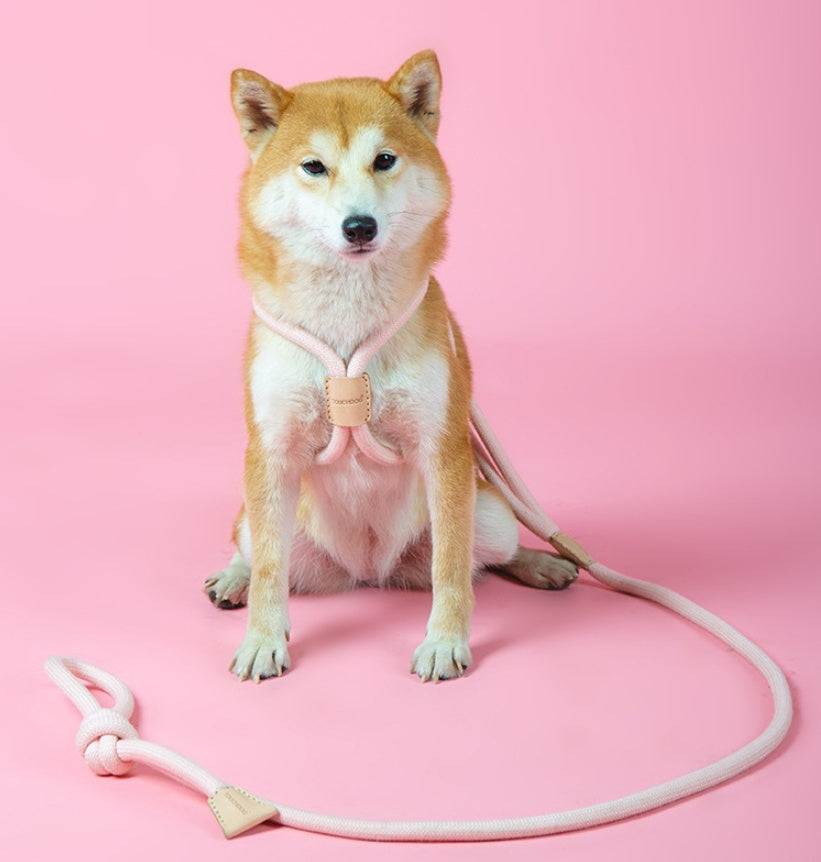 Pet Dual-purpose Integrated Round