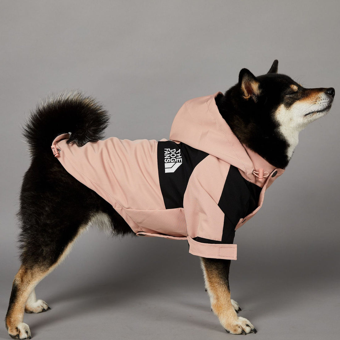 Windproof And Rainproof Large Dog