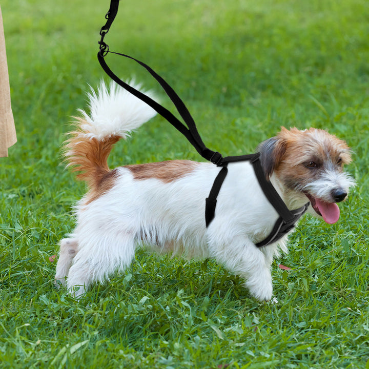 Nylon Dog Breathable Reflective Anti-riot