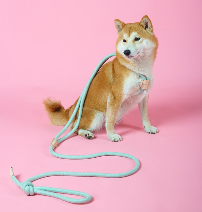 Pet Dual-purpose Integrated Round