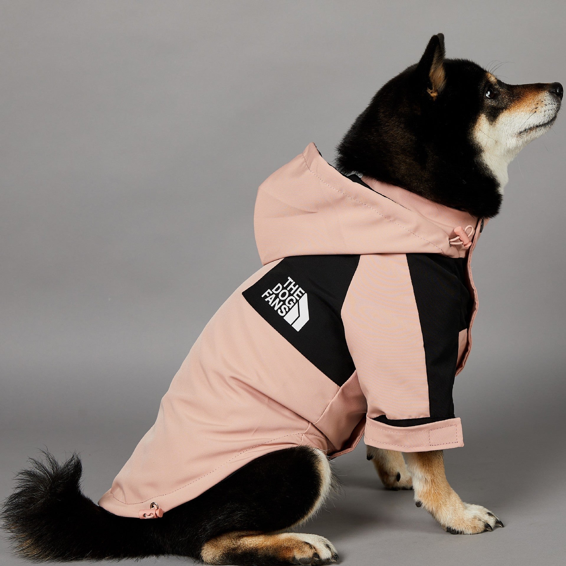 Windproof And Rainproof Large Dog