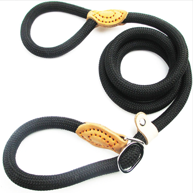 Nylon P Chain Hand Holding Rope Out Dog