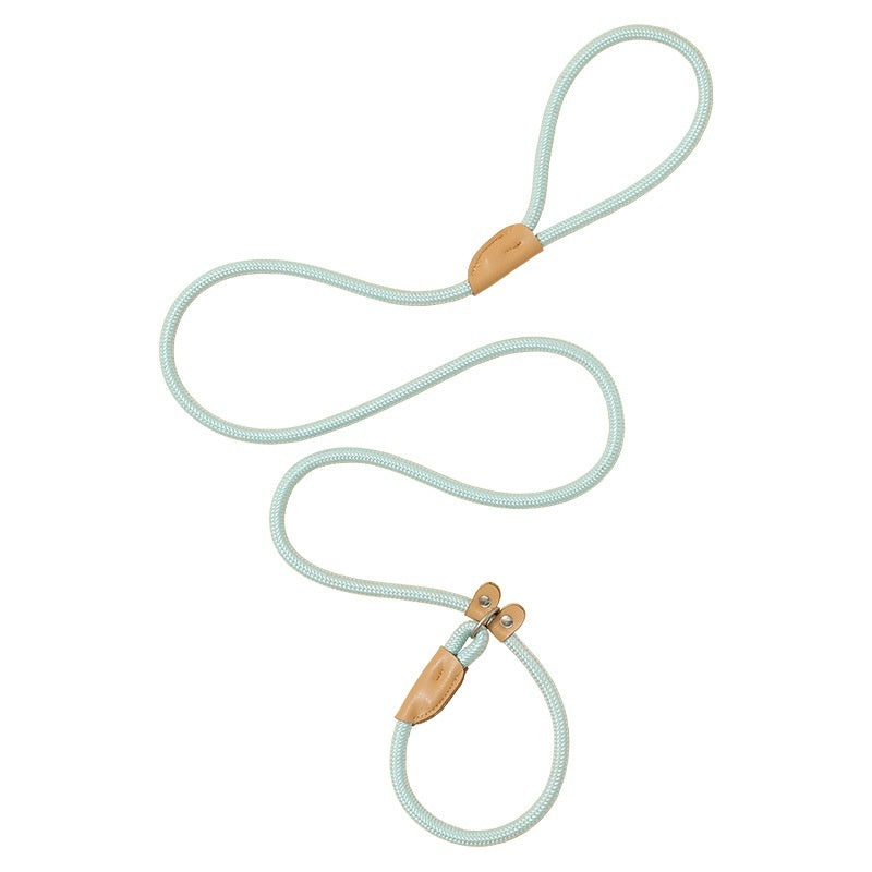 Household Dog Pet Hand Holding Rope