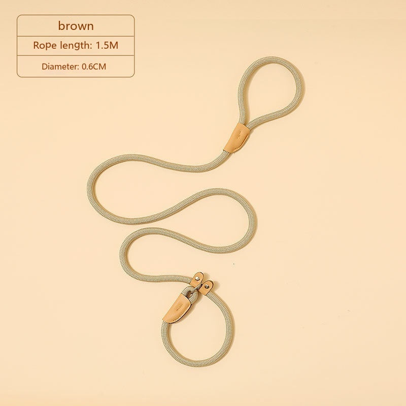 Household Dog Pet Hand Holding Rope