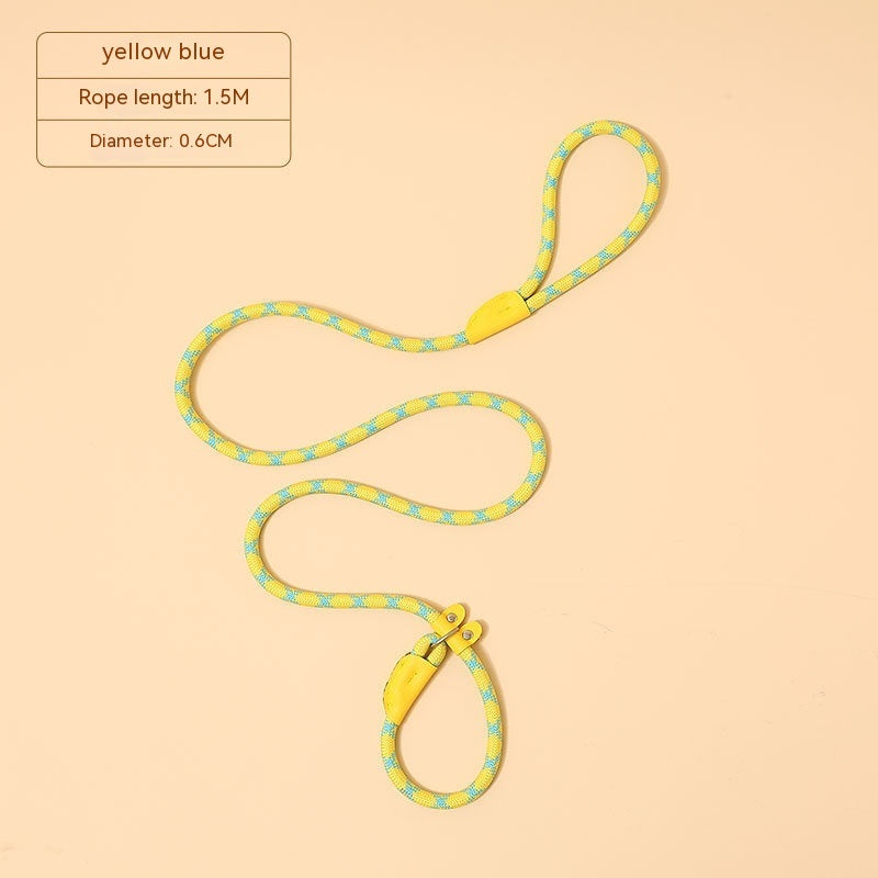 Household Dog Pet Hand Holding Rope