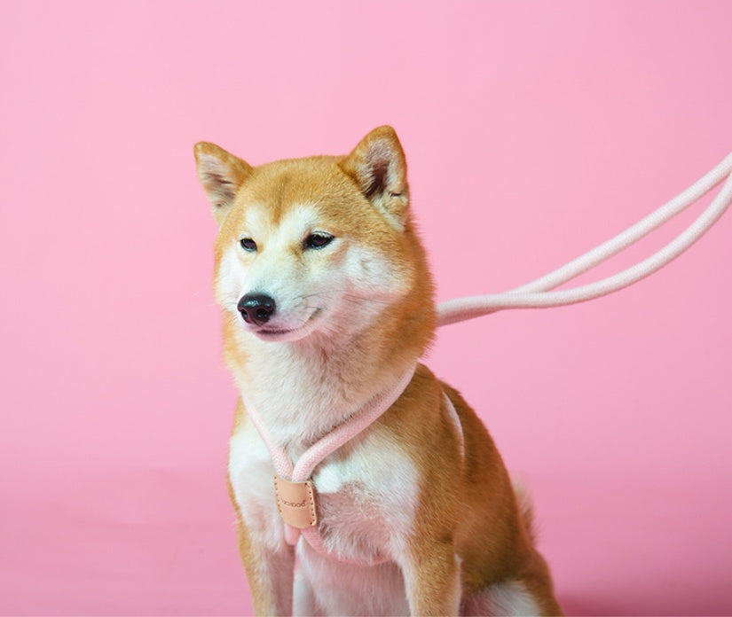 Pet Dual-purpose Integrated Round