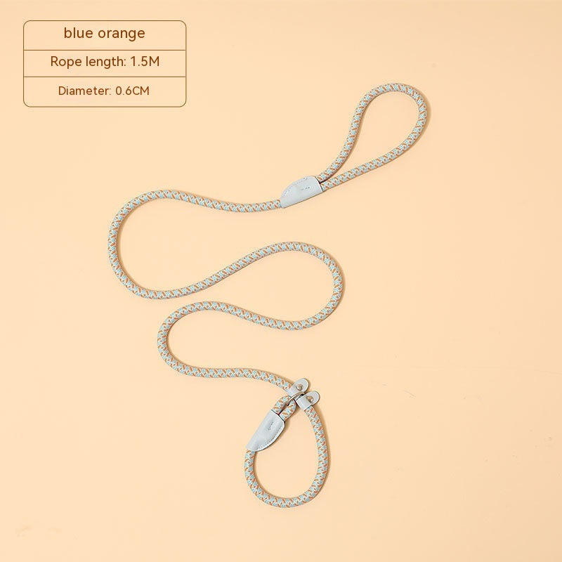 Household Dog Pet Hand Holding Rope