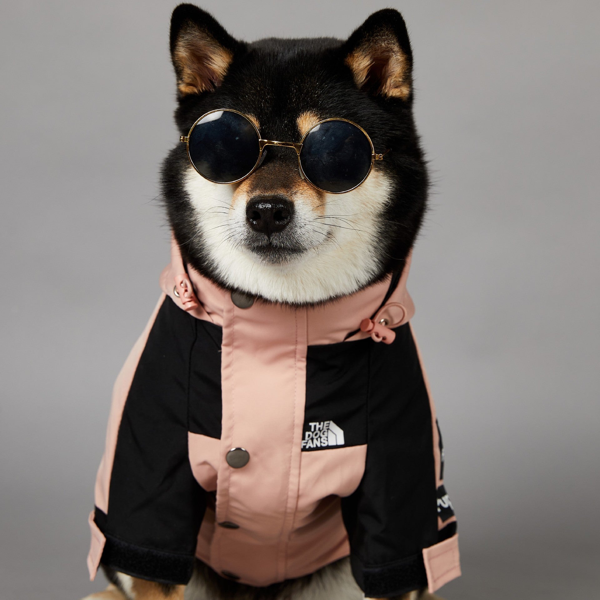 Windproof And Rainproof Large Dog