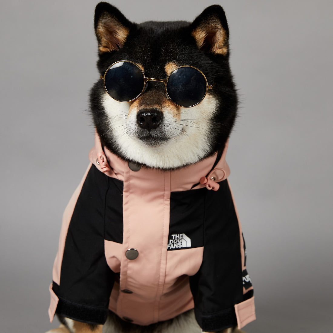 Windproof And Rainproof Large Dog