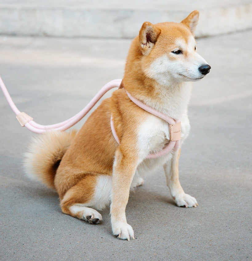 Pet Dual-purpose Integrated Round
