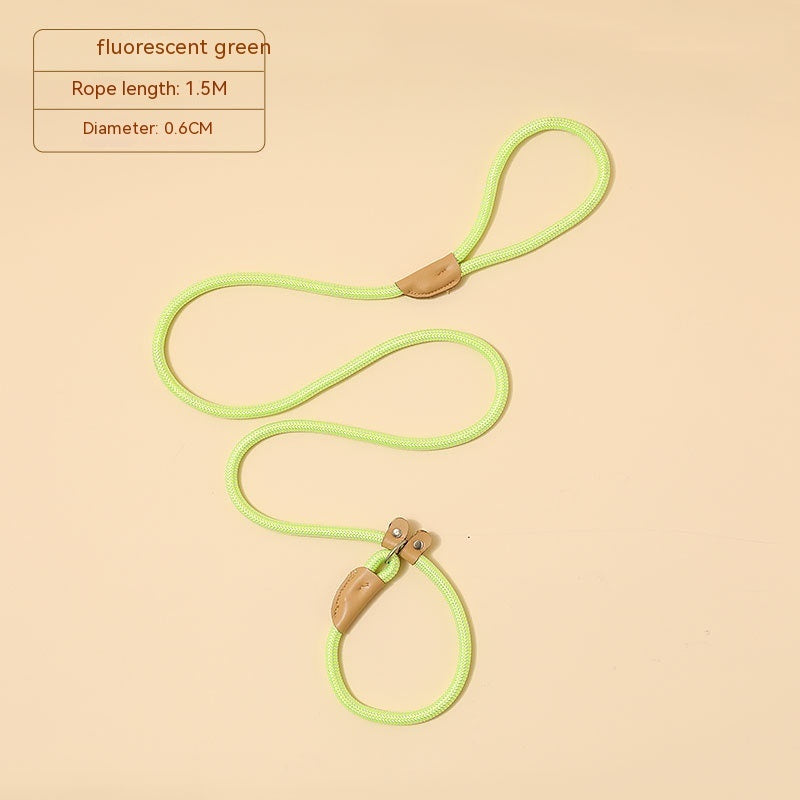Household Dog Pet Hand Holding Rope