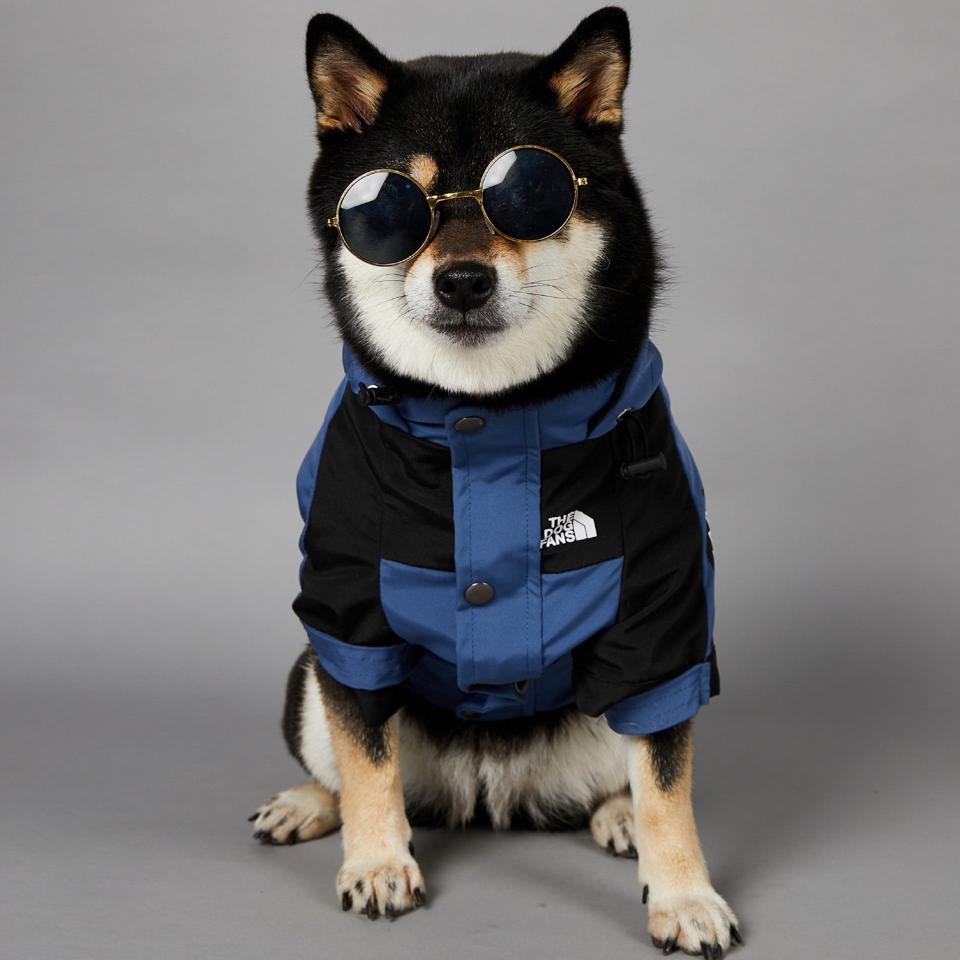 Windproof And Rainproof Large Dog Raincoat