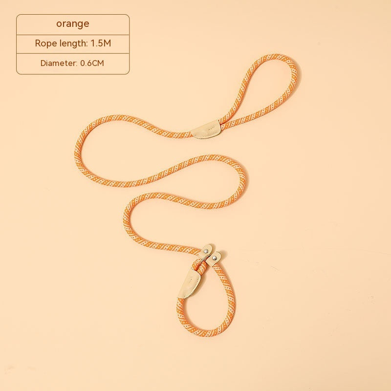 Household Dog Pet Hand Holding Rope