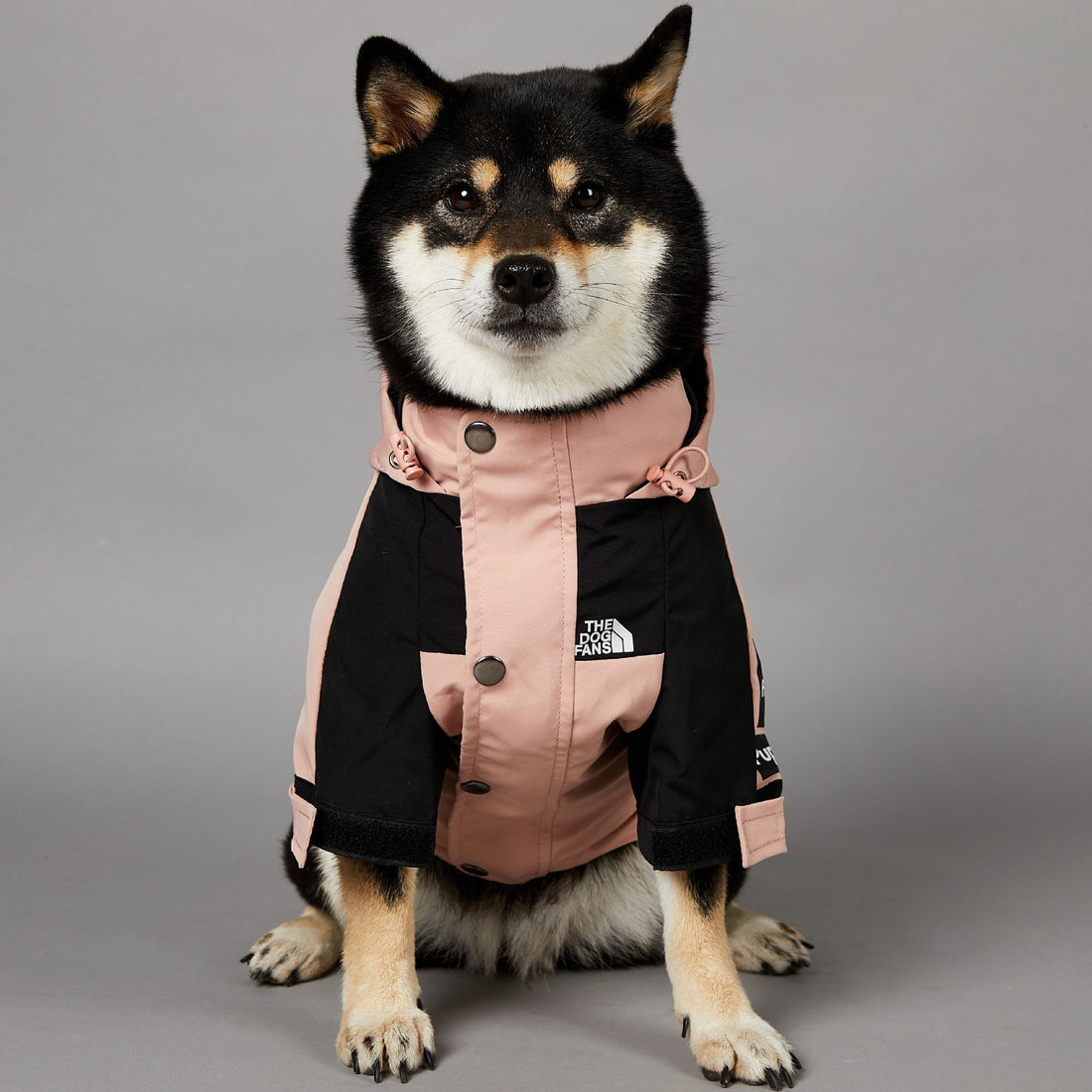 Windproof And Rainproof Large Dog