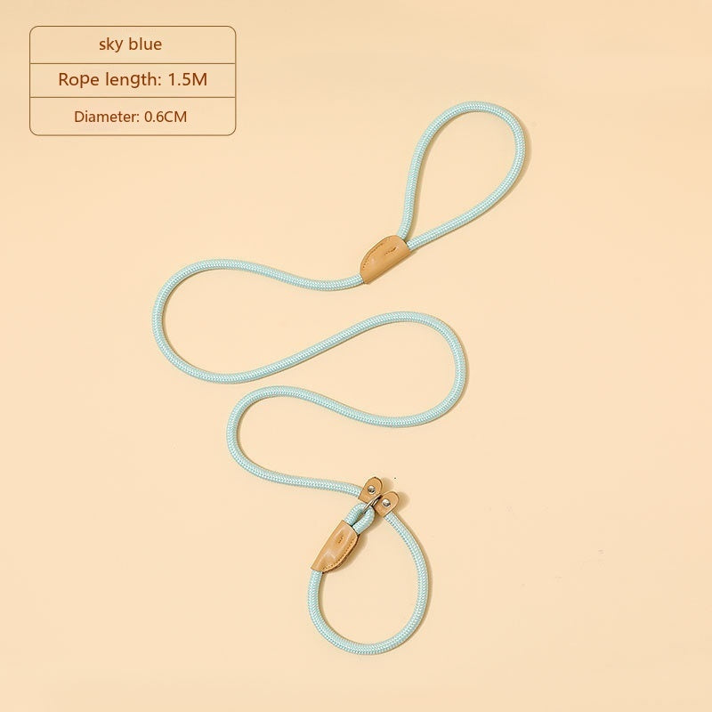 Household Dog Pet Hand Holding Rope