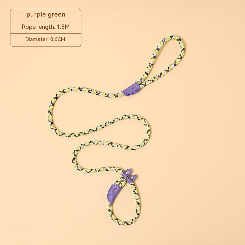 Household Dog Pet Hand Holding Rope