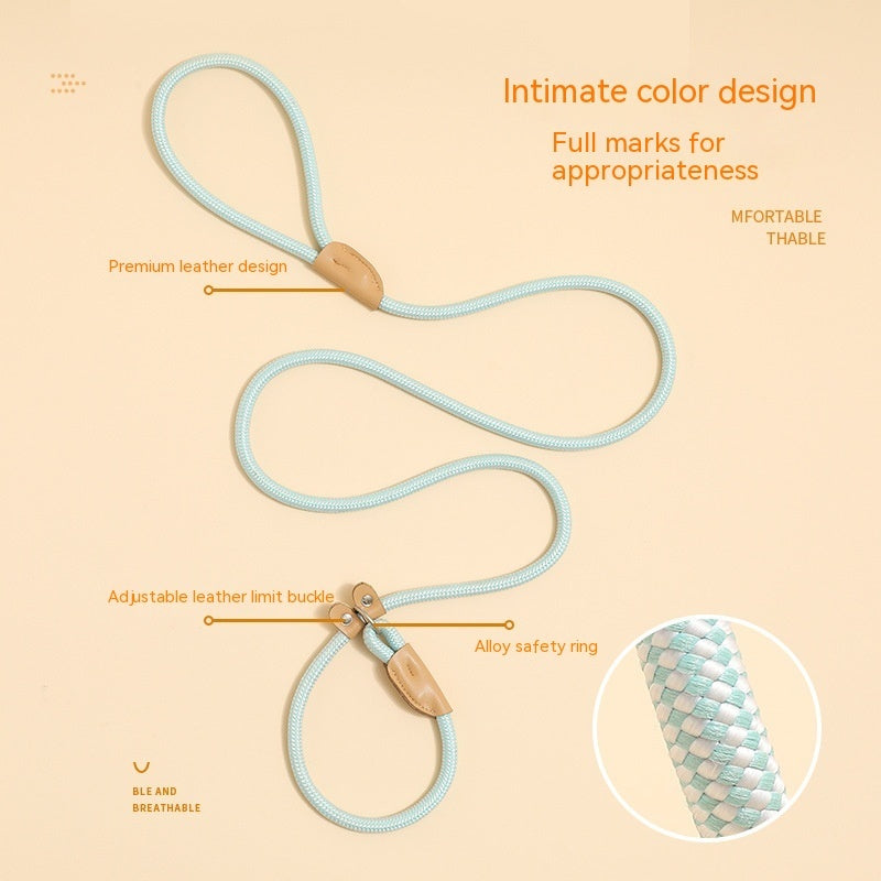 Household Dog Pet Hand Holding Rope
