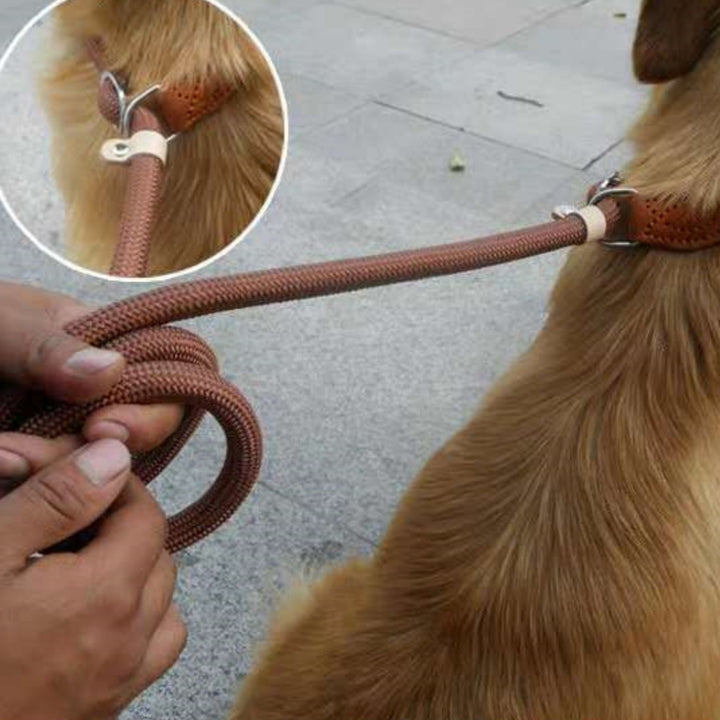 Nylon P Chain Hand Holding Rope Out Dog