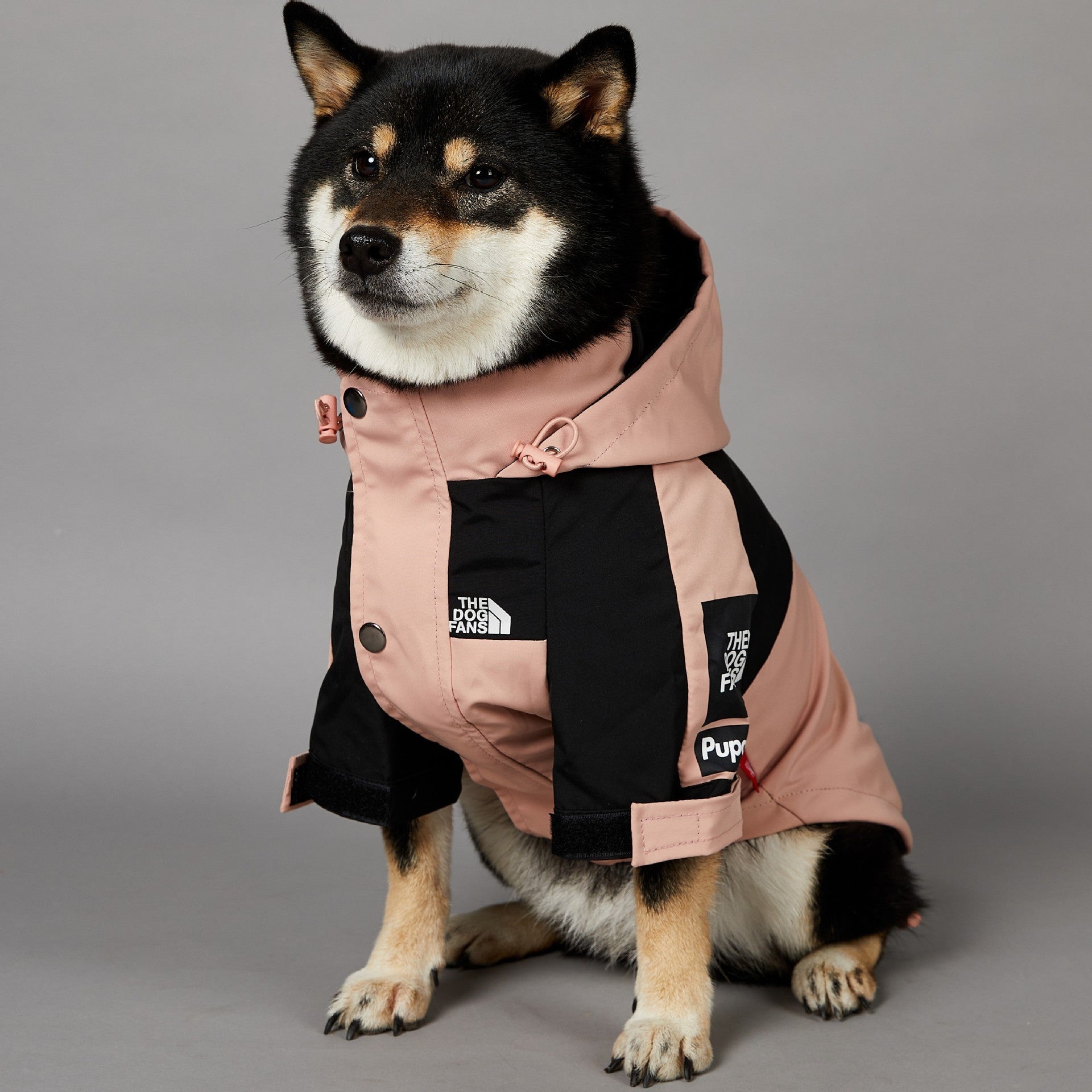 Windproof And Rainproof Large Dog