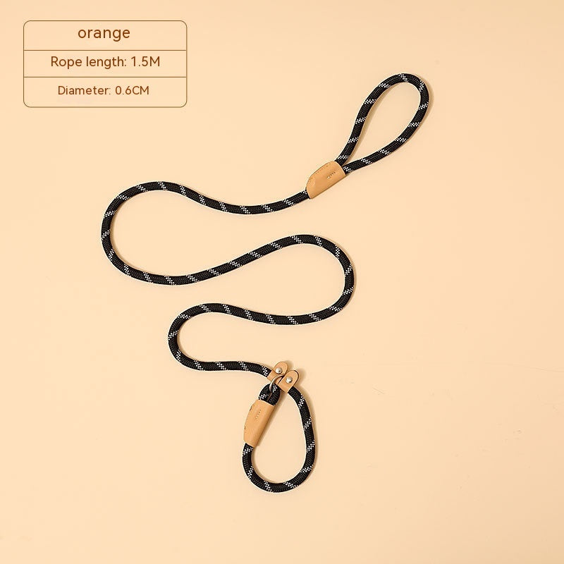 Household Dog Pet Hand Holding Rope