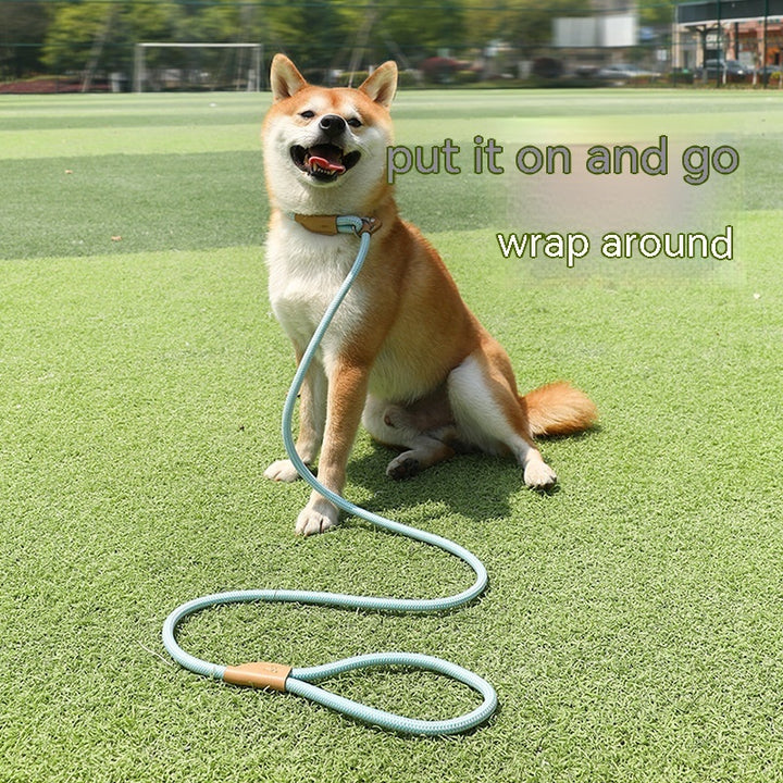 Household Dog Pet Hand Holding Rope