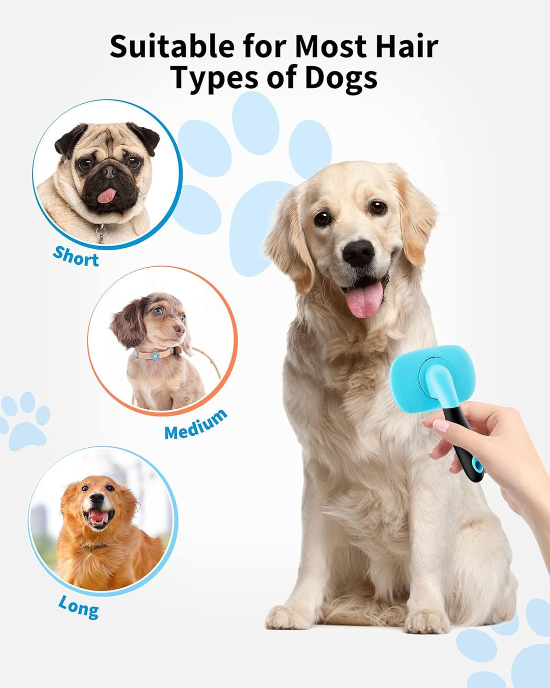 Dog Brush Cat Brush Pet Grooming Brush