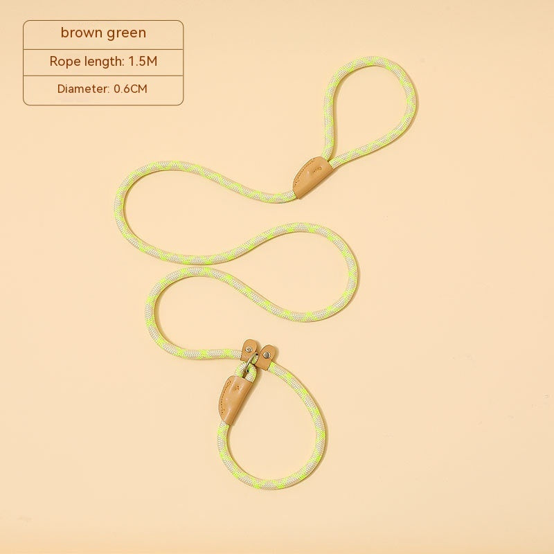 Household Dog Pet Hand Holding Rope