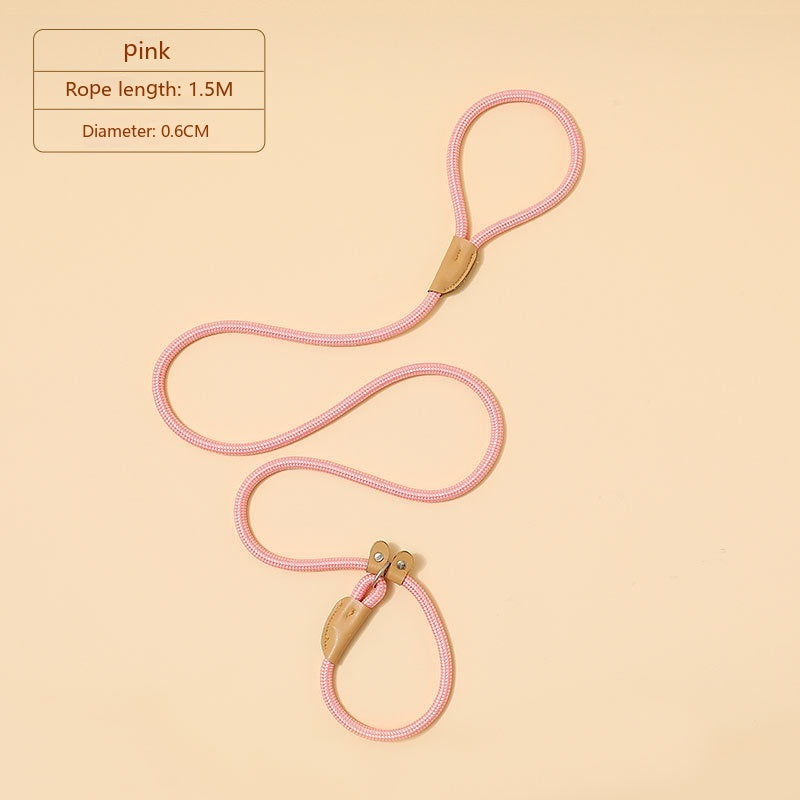 Household Dog Pet Hand Holding Rope