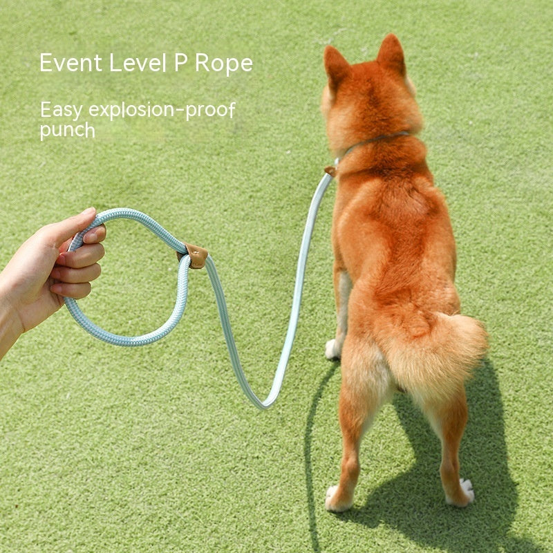 Household Dog Pet Hand Holding Rope