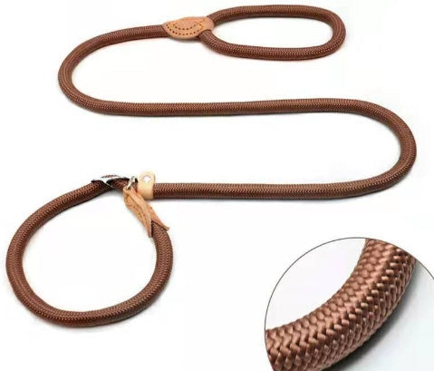 Nylon P Chain Hand Holding Rope Out Dog