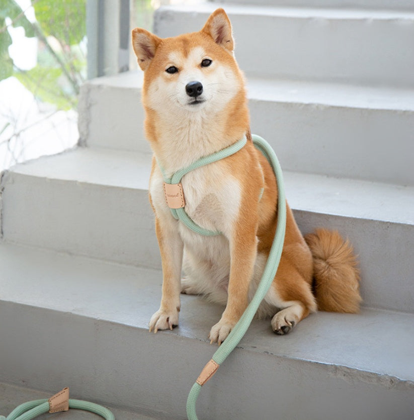 Pet Dual-purpose Integrated Round